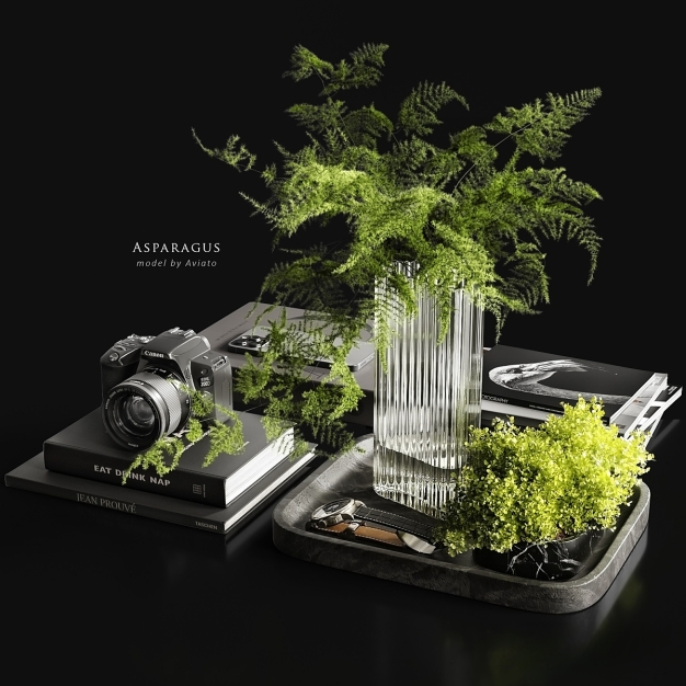 桌面摆件 书籍相机 水培植物3D模型