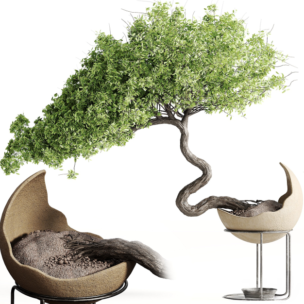 植物盆栽3D模型