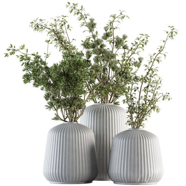 现代绿植花瓶花艺3D模型