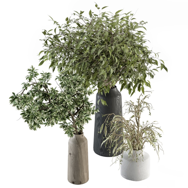 现代花瓶植物3D模型