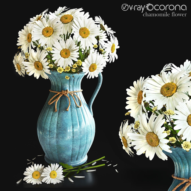 现代雏菊花瓶花艺3D模型