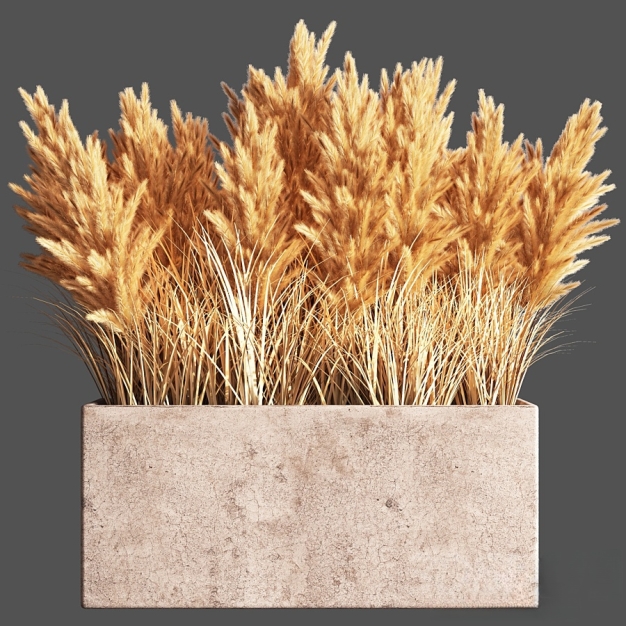 现代干花 插花3D模型