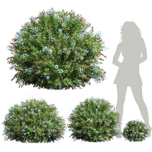 植物灌木3D模型