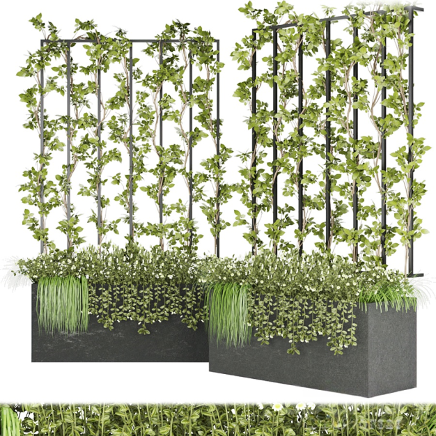 现代绿植藤蔓3D模型