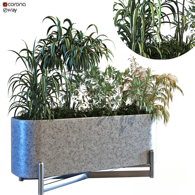 植物盆栽3D模型