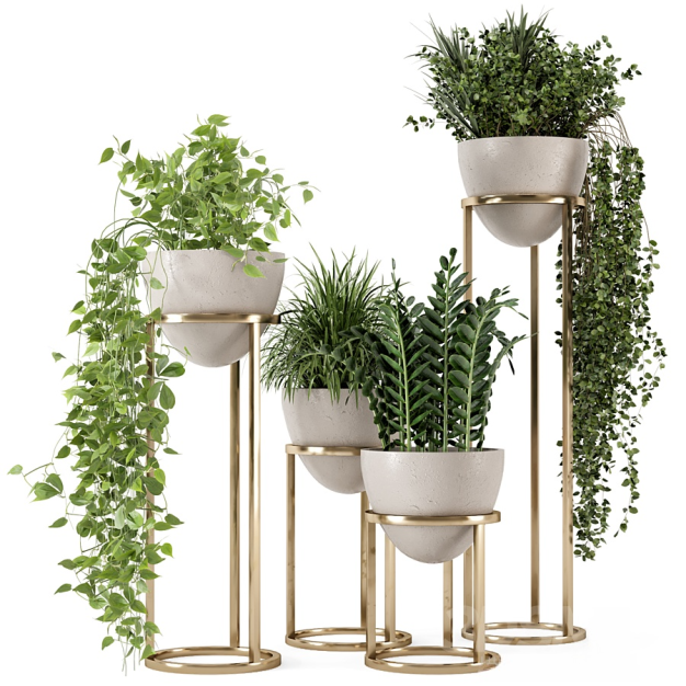 现代绿萝植物盆栽3D模型