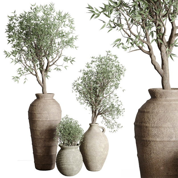 植物盆栽组合3D模型