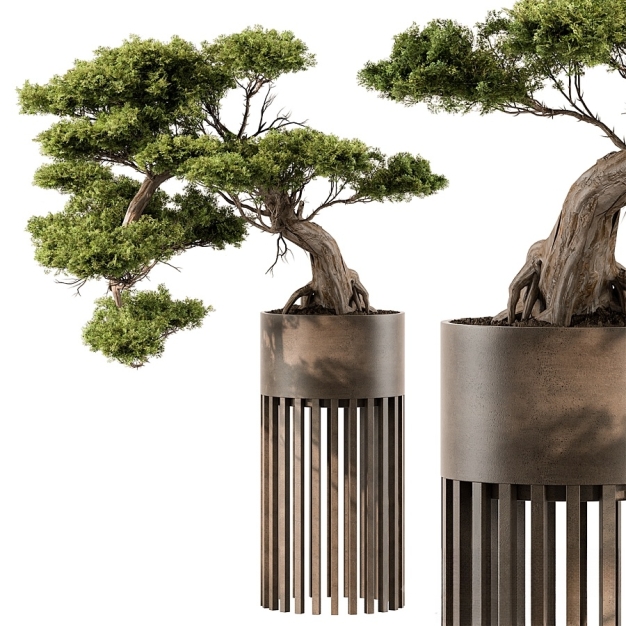 植物盆栽3D模型