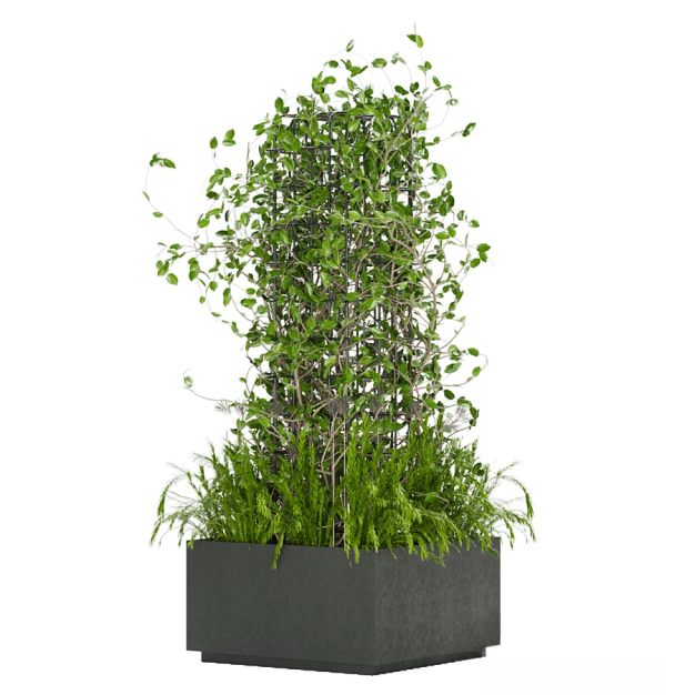 现代植物盆栽滕蔓3D模型