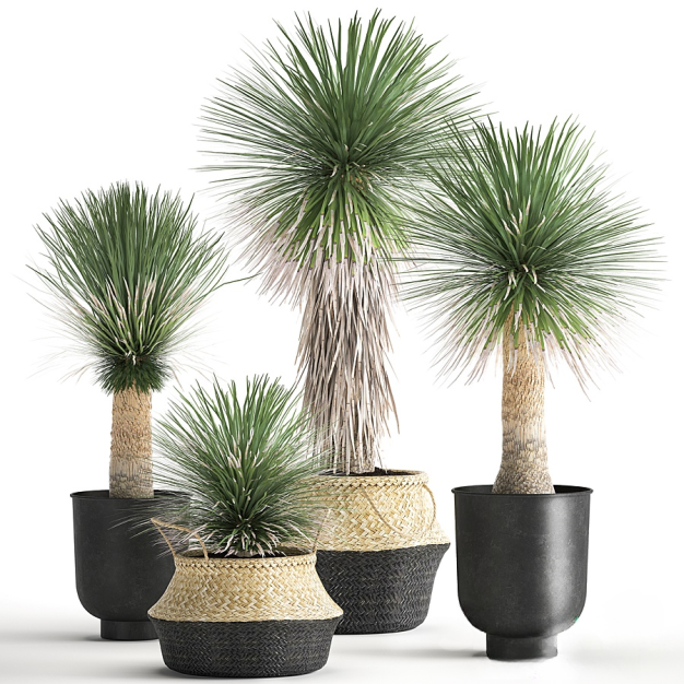 现代绿植盆栽组合3D模型
