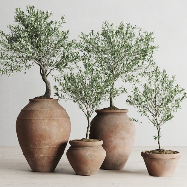 植物盆栽3D模型