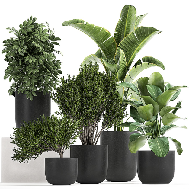 现代绿植盆栽3D模型
