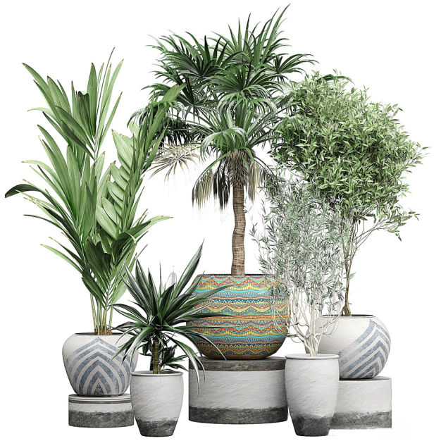 现代绿植盆栽3D模型