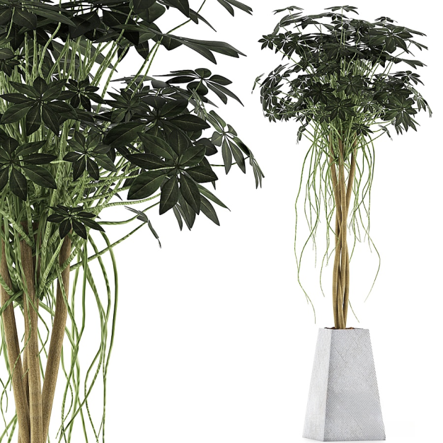 现代植物盆栽3D模型