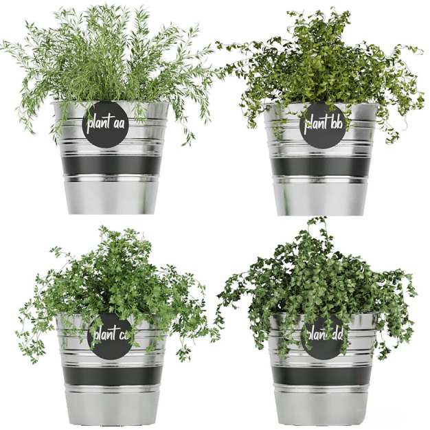 现代植物盆栽3D模型