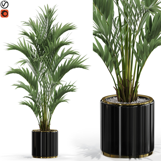 现代植物盆栽3D模型