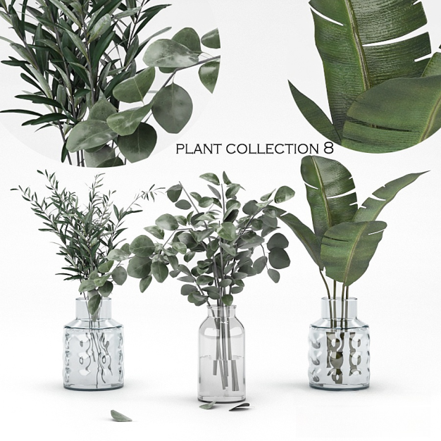 现代水生植物花瓶3D模型
