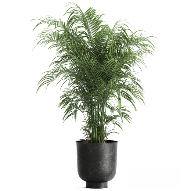 现代植物盆栽3D模型