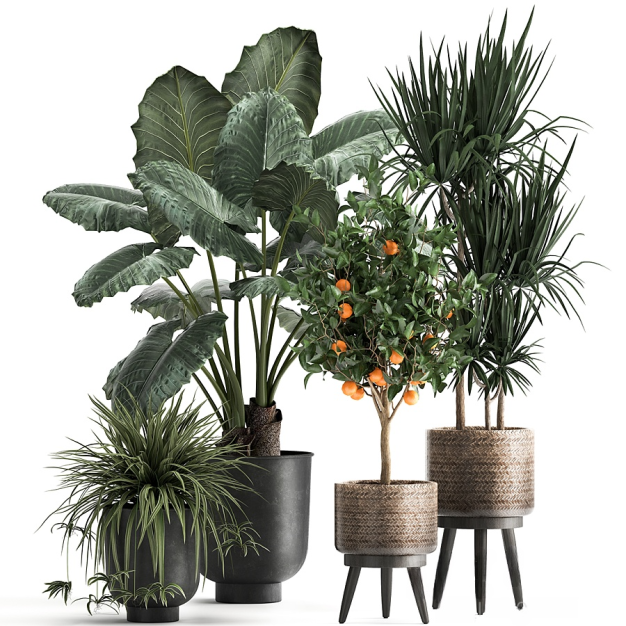 现代绿植盆栽3D模型