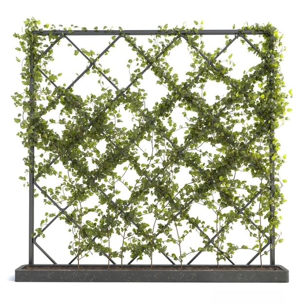 现代绿植藤蔓3D模型