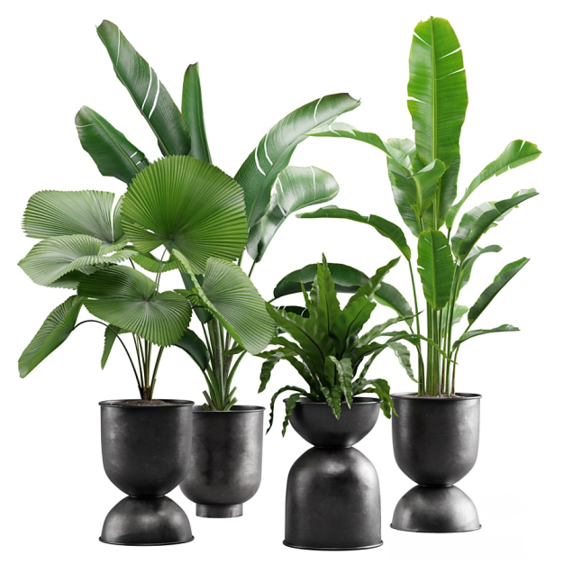 植物盆栽3D模型