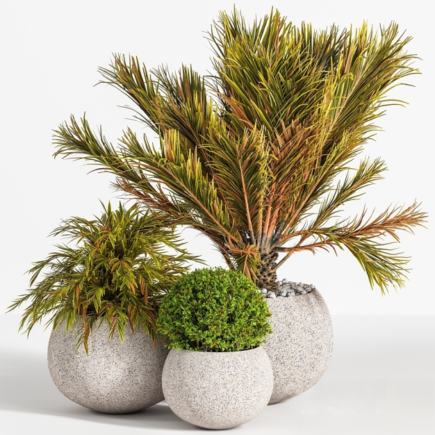 现代绿植盆栽3D模型
