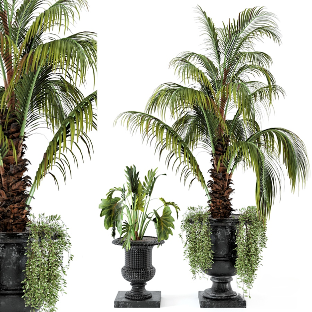 植物盆栽3D模型