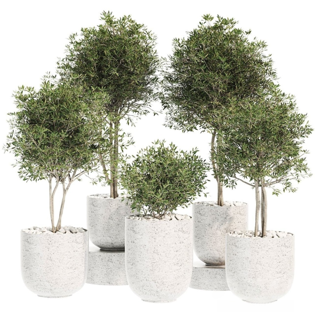 现代植物盆栽组合3D模型