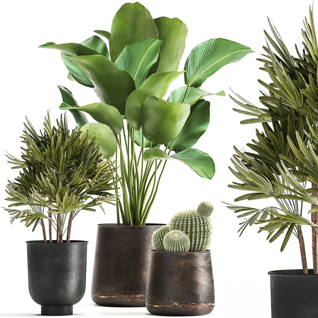 现代绿植盆栽3D模型