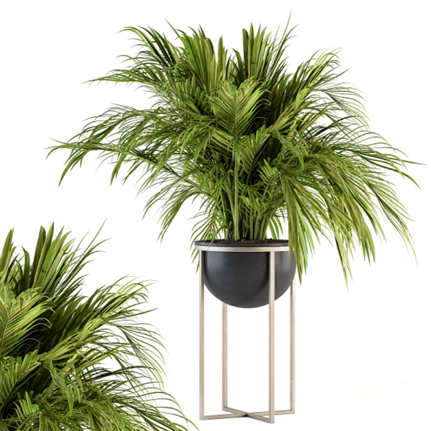 植物盆栽3D模型
