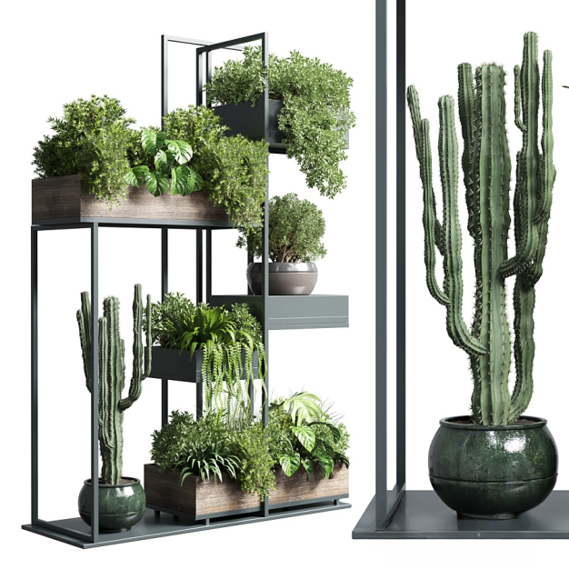 现代植物架绿植盆栽组合3D模型