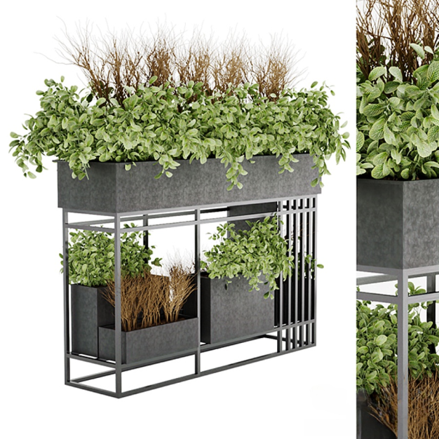 植物盆栽3D模型
