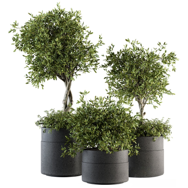 现代绿植盆栽3D模型