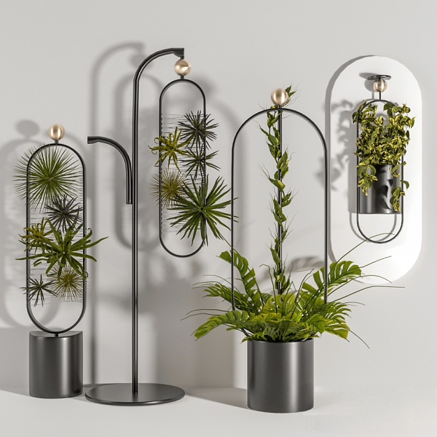 现代植物盆栽3D模型