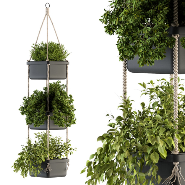 现代薄荷绿植吊篮3D模型