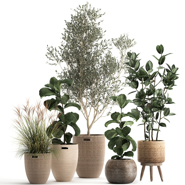 现代植物盆栽3D模型