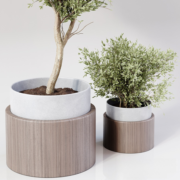 现代绿植盆栽3D模型
