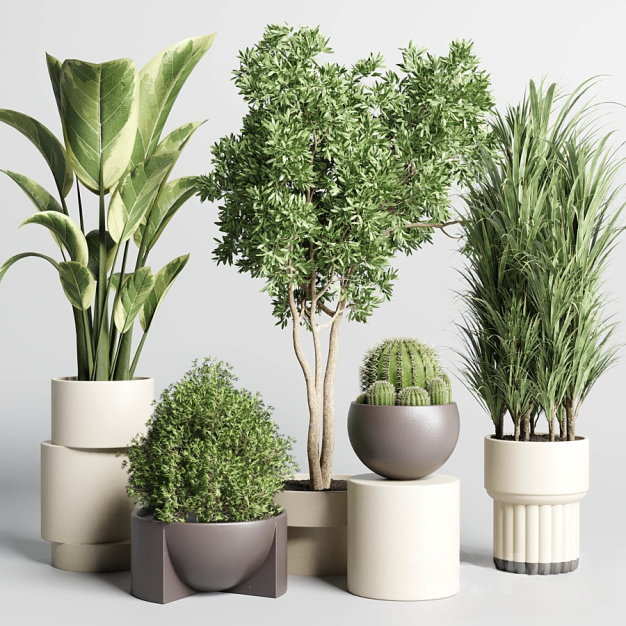 现代绿植盆栽3D模型