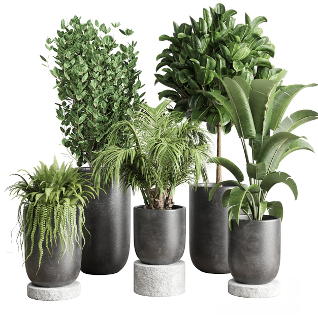 现代绿植盆栽3D模型
