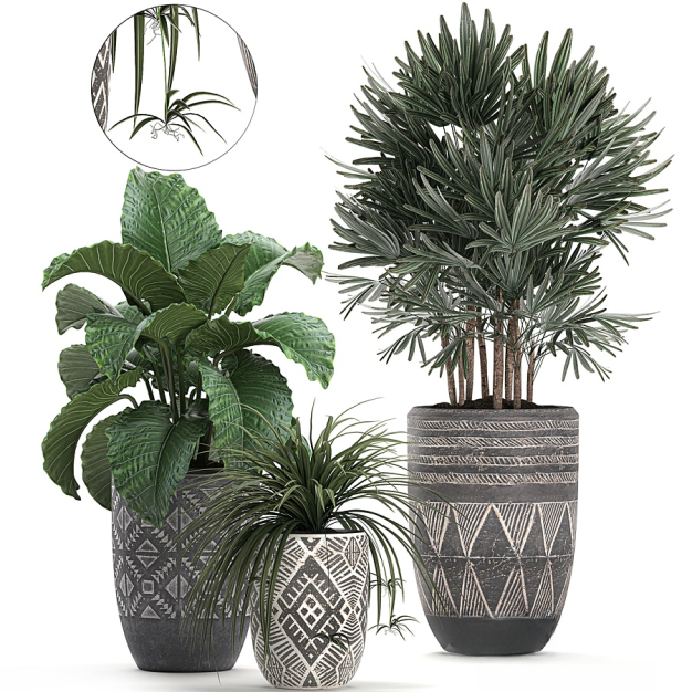 现代绿植盆栽3D模型