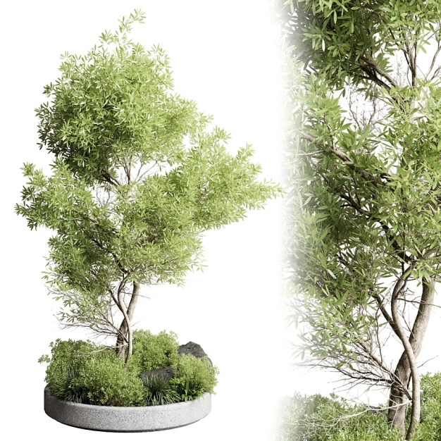 现代植物盆栽3D模型