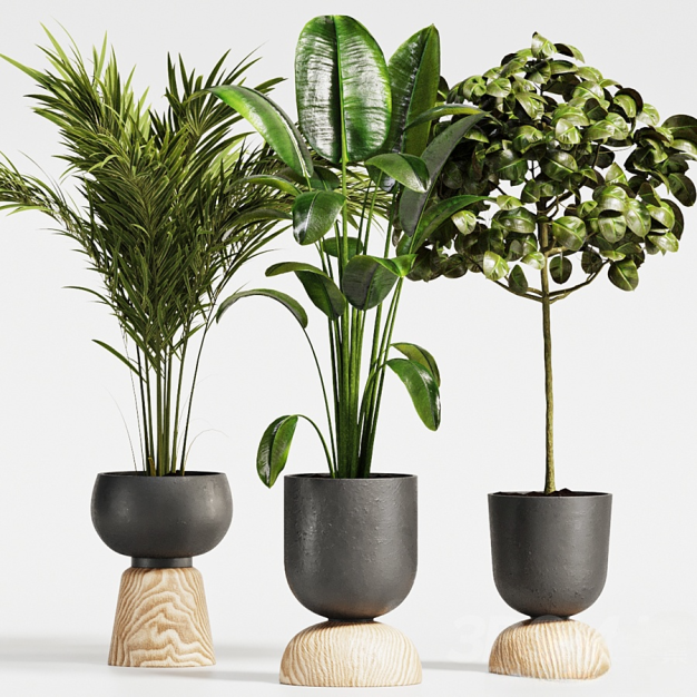 植物盆栽3D模型