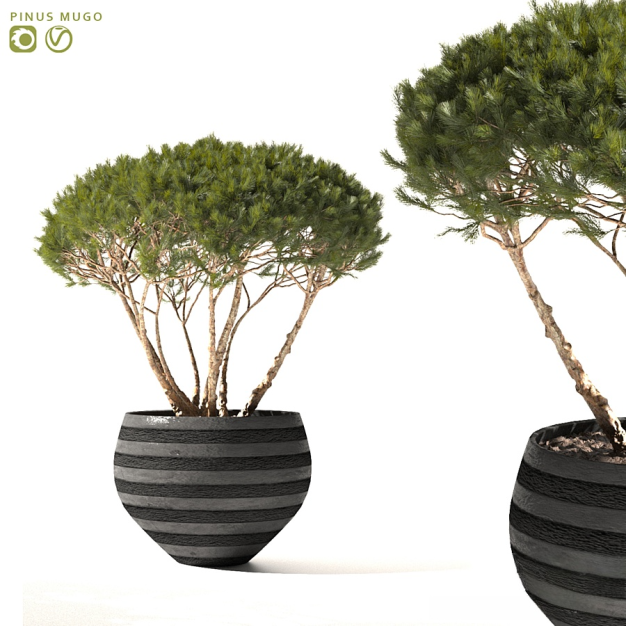 植物盆栽3D模型