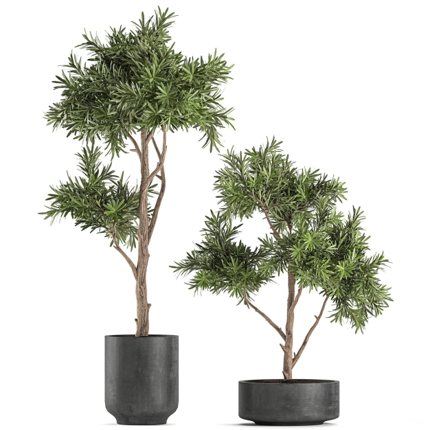 植物盆栽3D模型