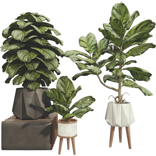 现代绿植盆栽3D模型