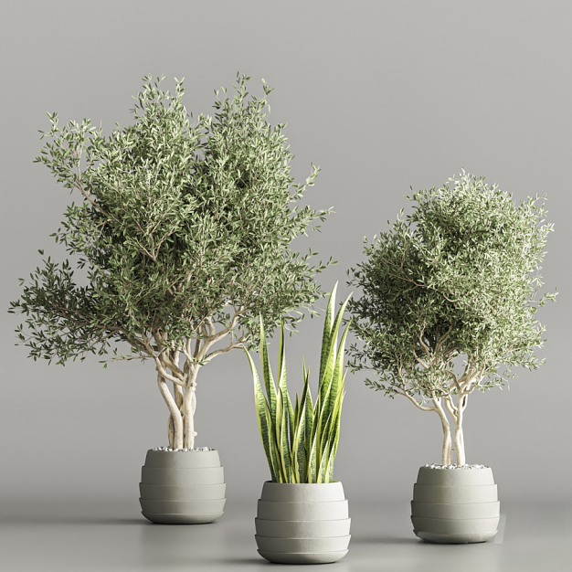 植物盆栽3D模型