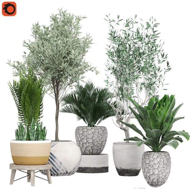 植物盆栽3D模型