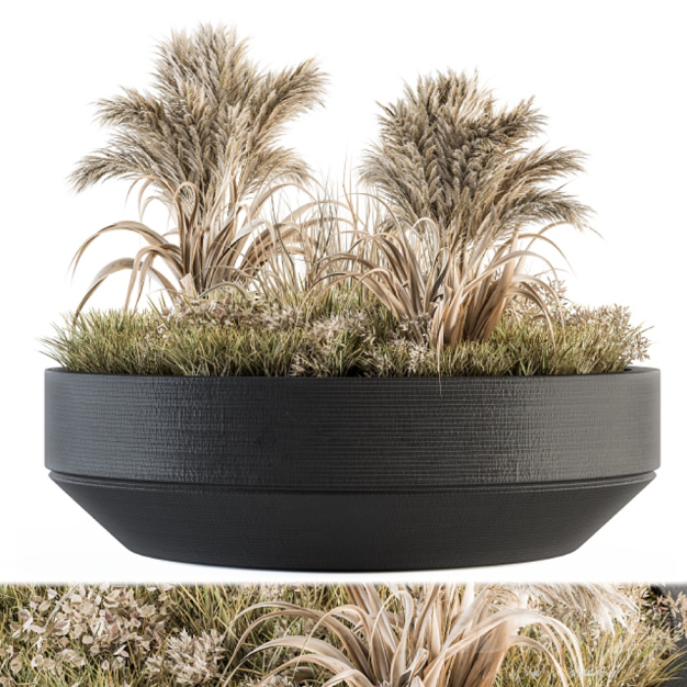 植物盆栽3D模型