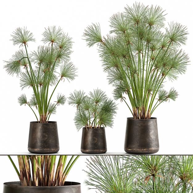 现代绿植盆栽3D模型