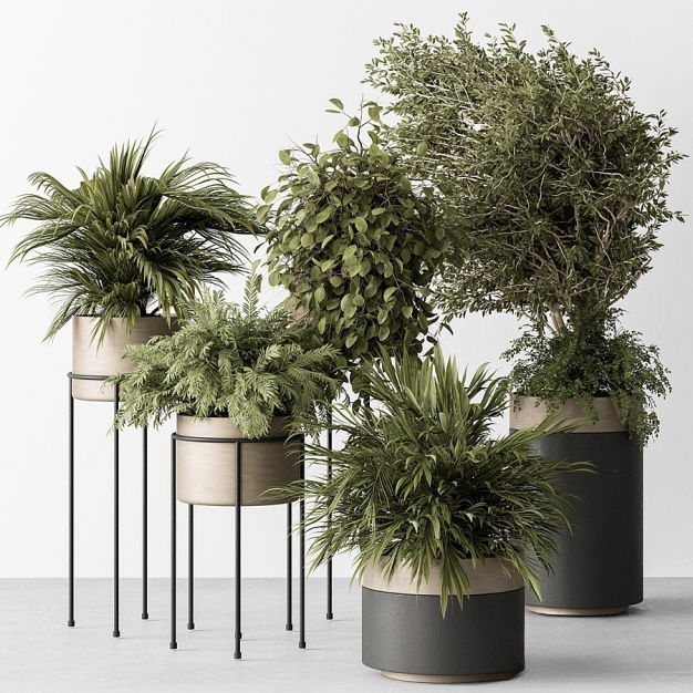 现代植物盆栽3D模型